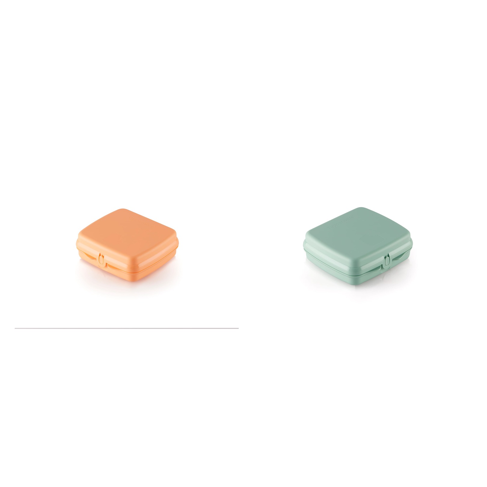 Tupperware Sandwich Keeper Roots